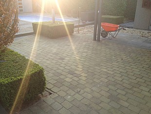 Tuin met zwembad