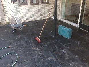 Tuin met pad